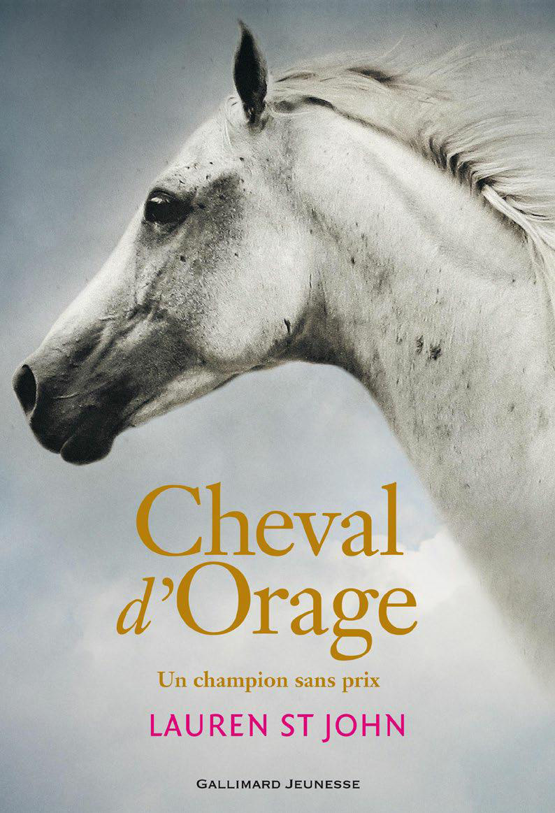 CHEVAL D-ORAGE UN CHAMPION SANS PRIX