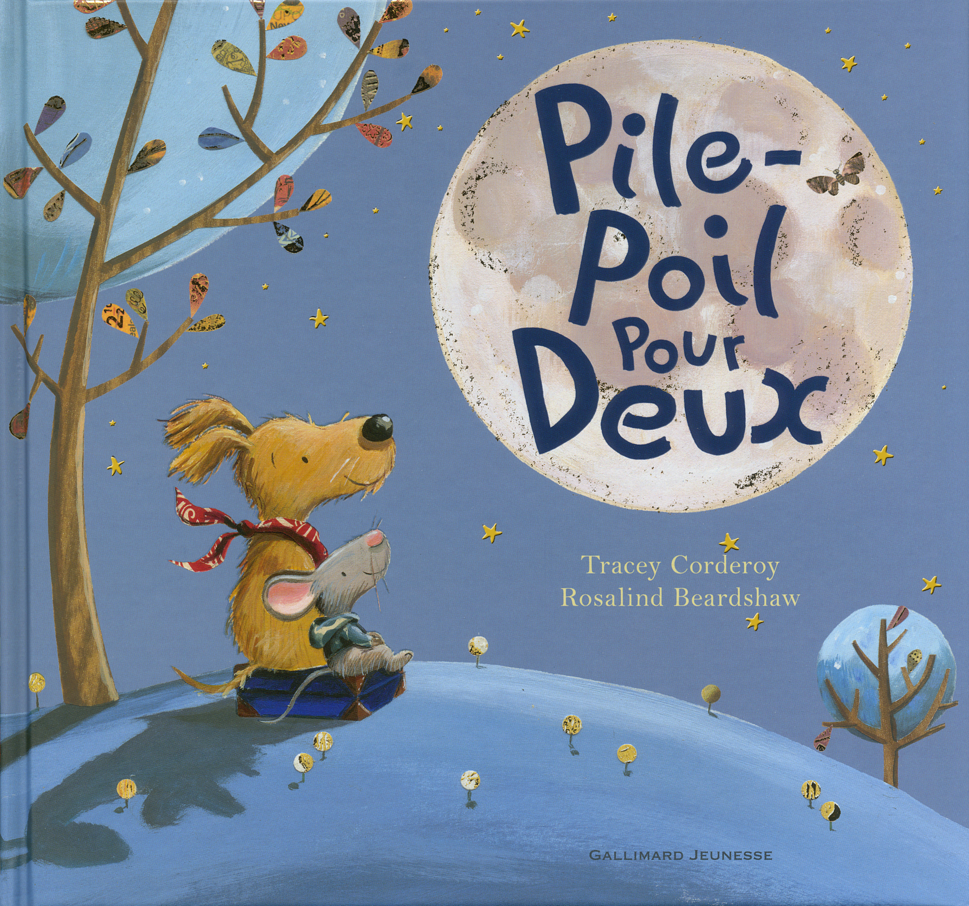 PILE POIL POUR DEUX AMITIE