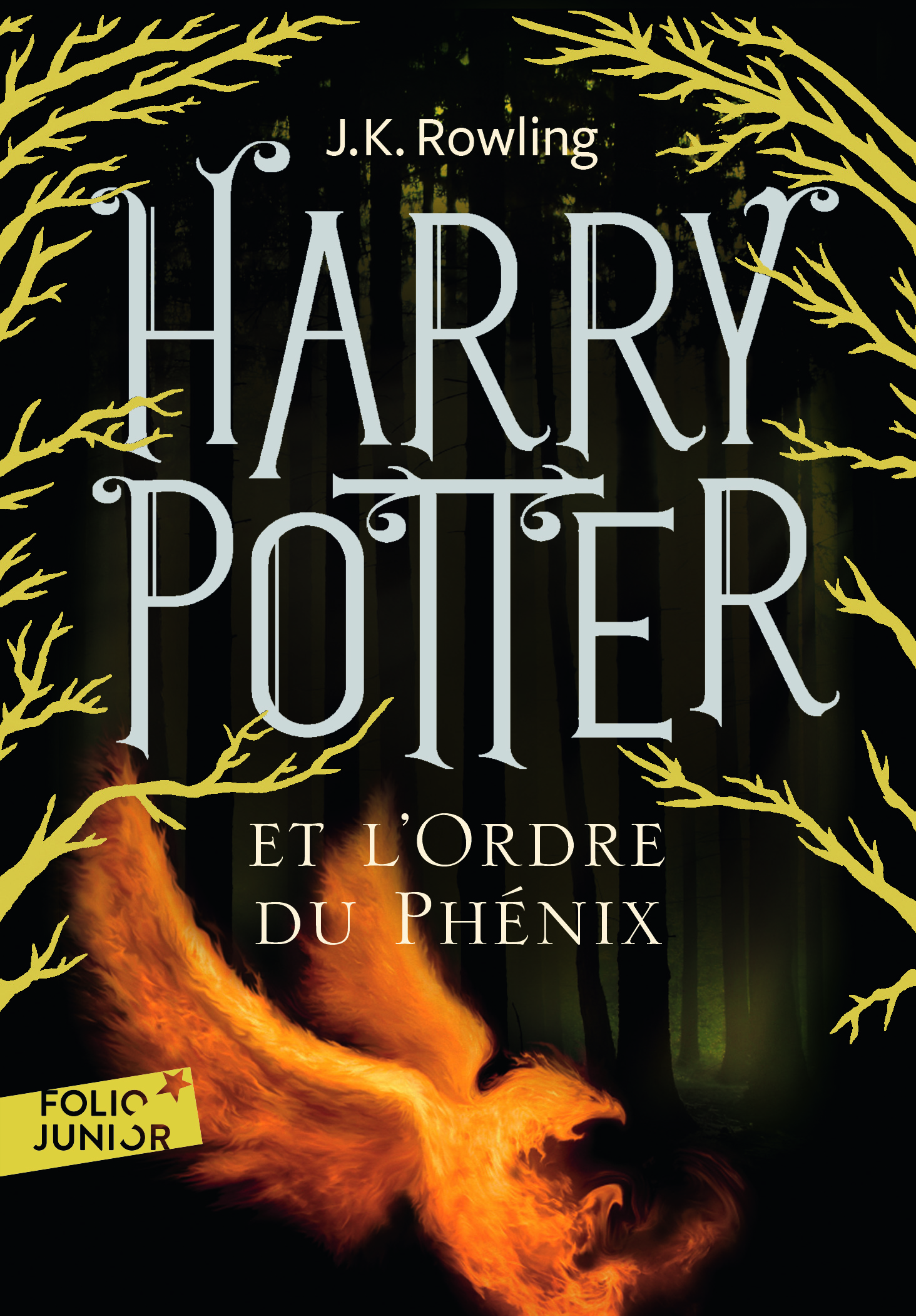 HARRY POTTER ET L'ORDRE DU PHENIX