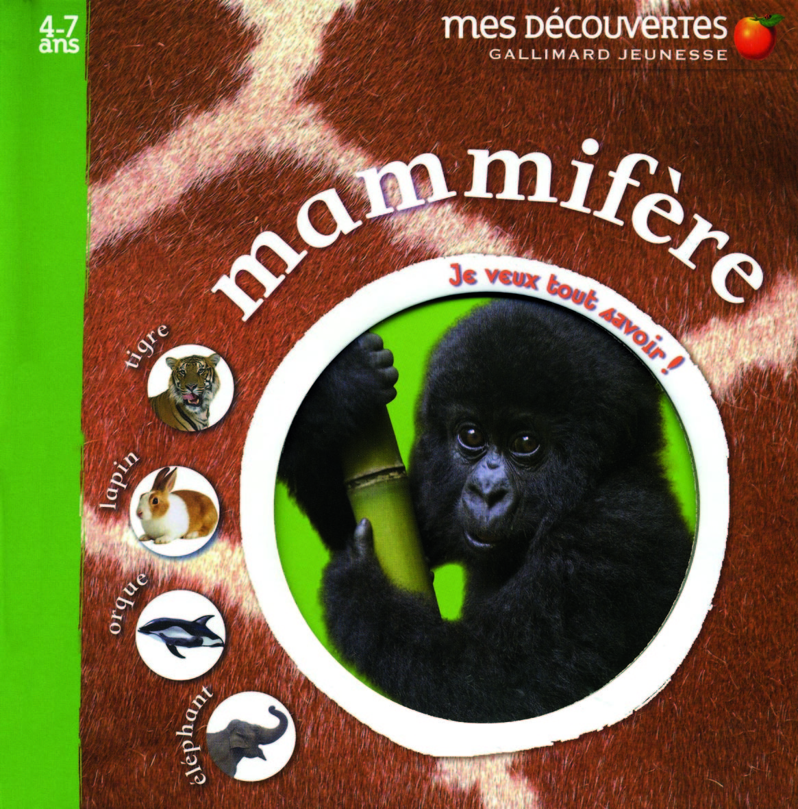 Mammifère tigre, lapin, orque, éléphant