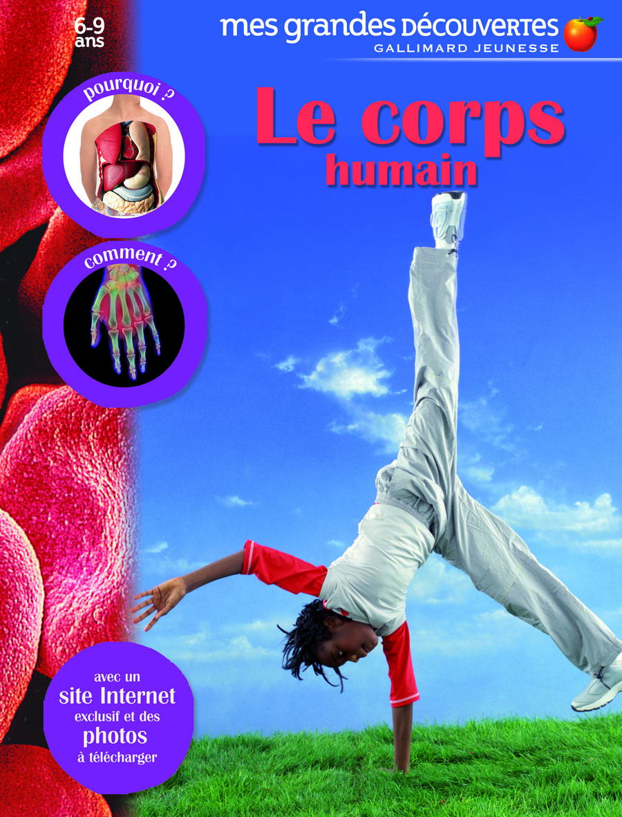 Le corps humain