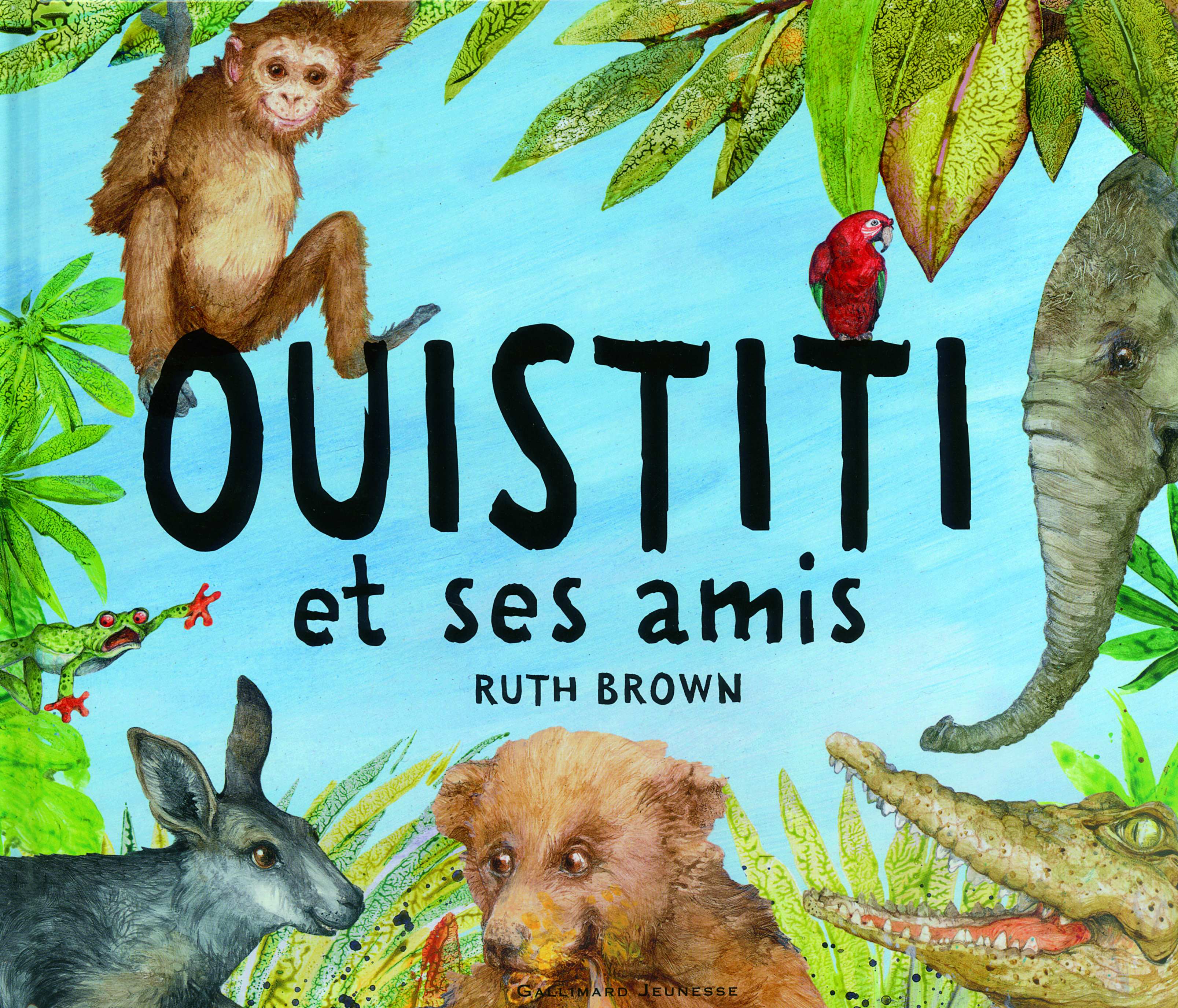 Ouistiti et ses amis