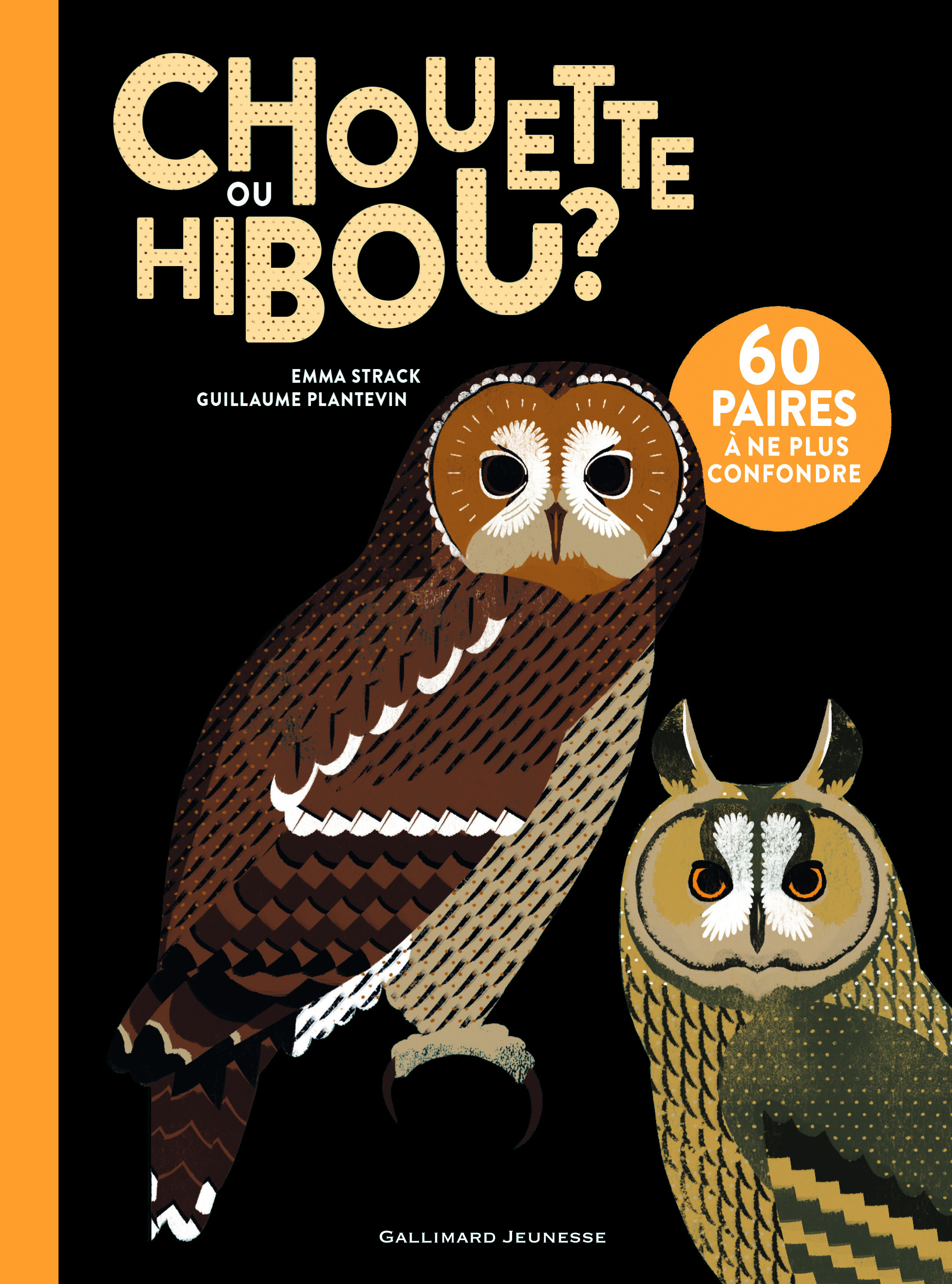 Chouette ou hibou ?