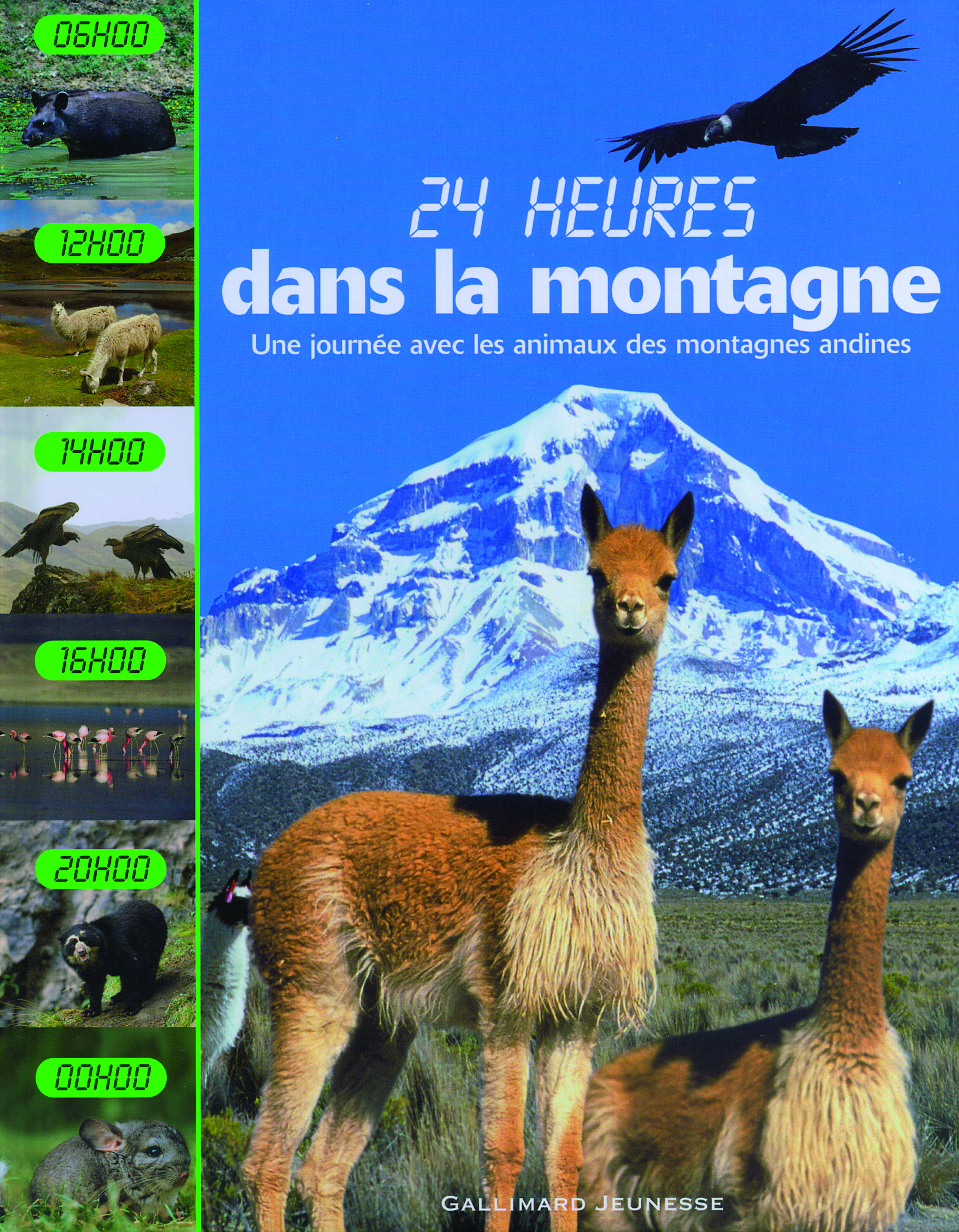 Dans la montagne une journée avec les animaux des montagnes andines