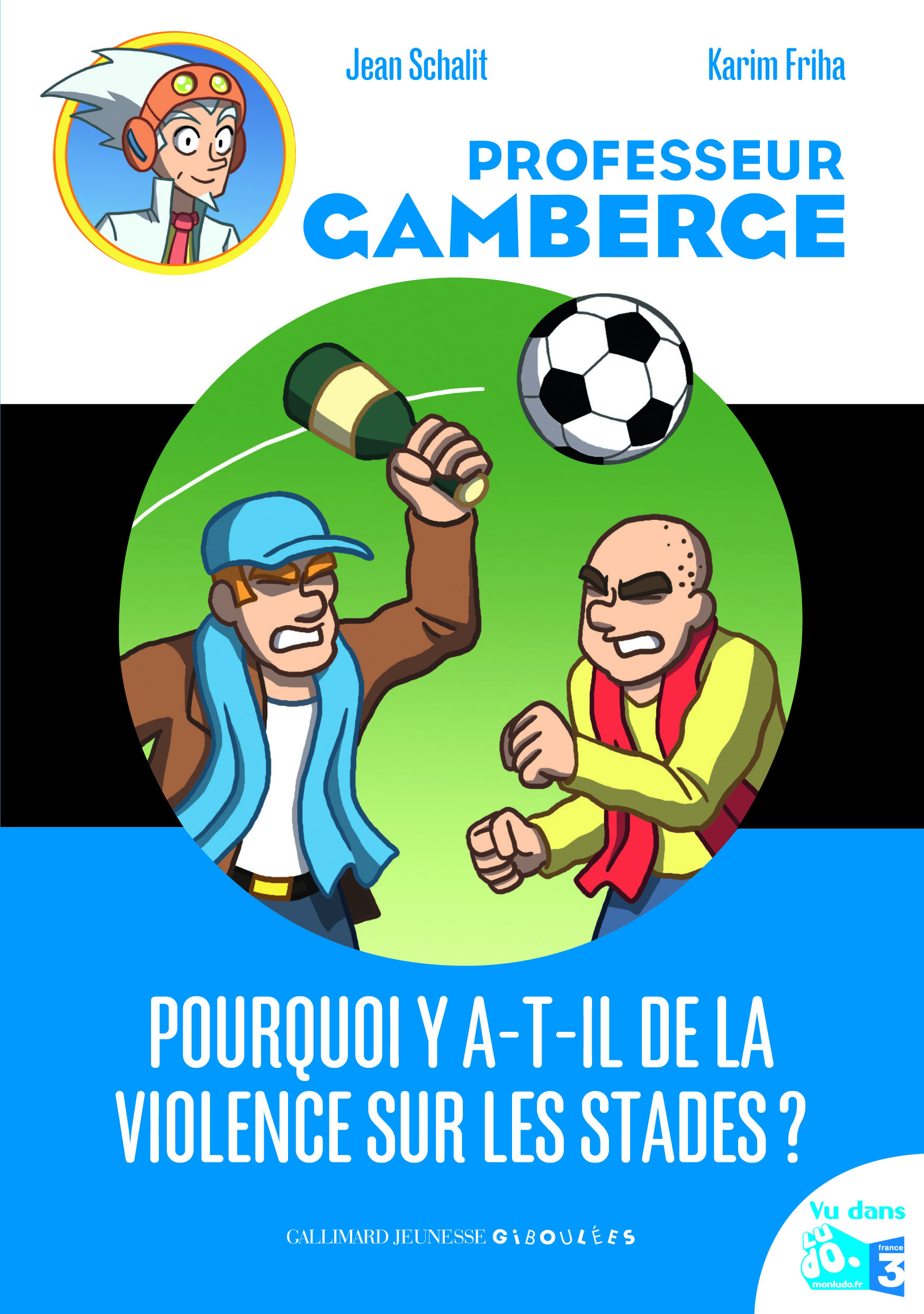 POURQUOI Y A-T-IL DE LA VIOLENCE SUR LES STADES ?