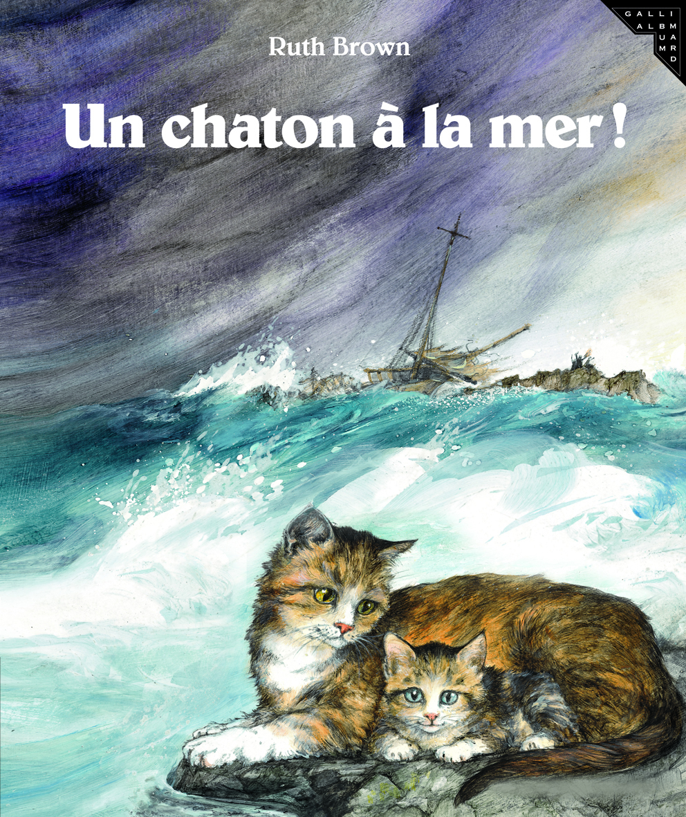 UN CHATON A LA MER !