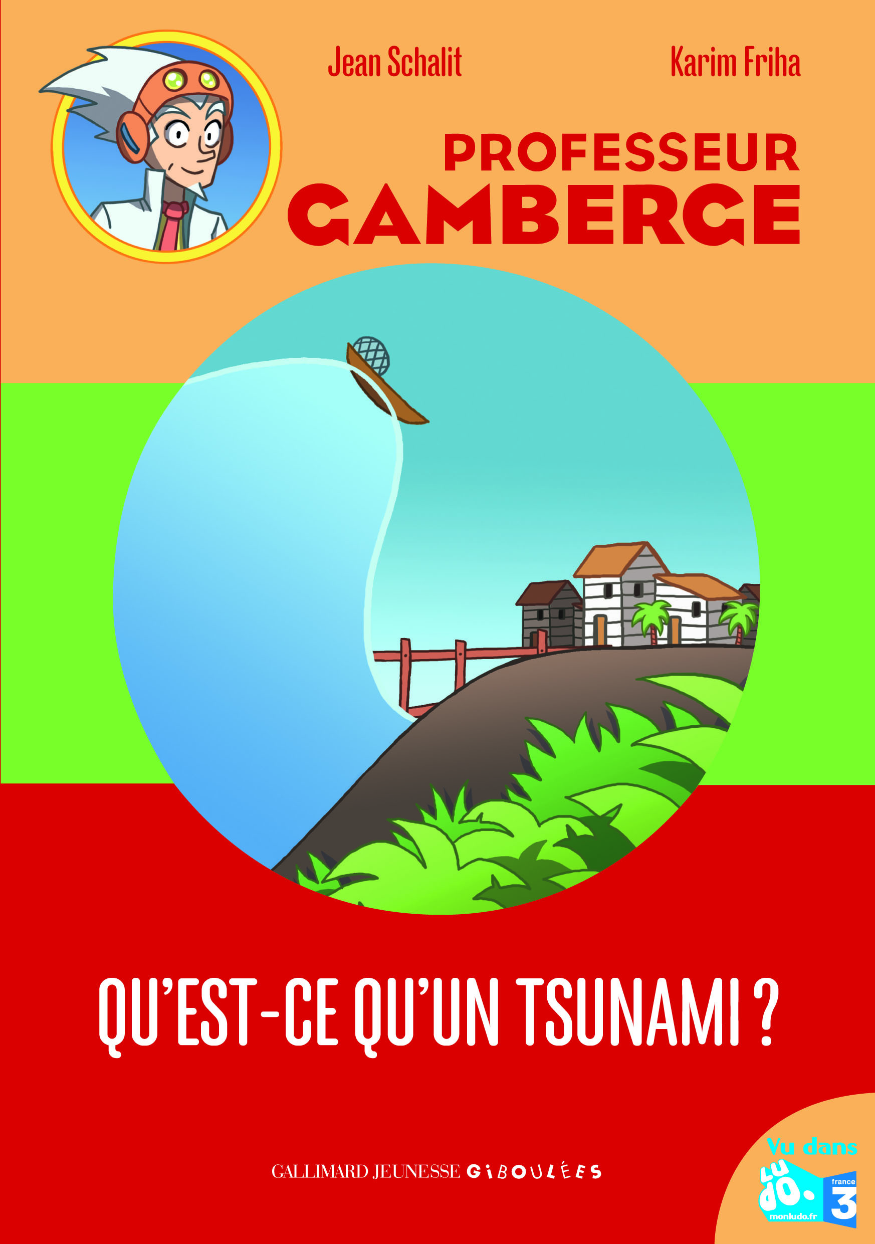 QU'EST-CE QU'UN TSUNAMI?