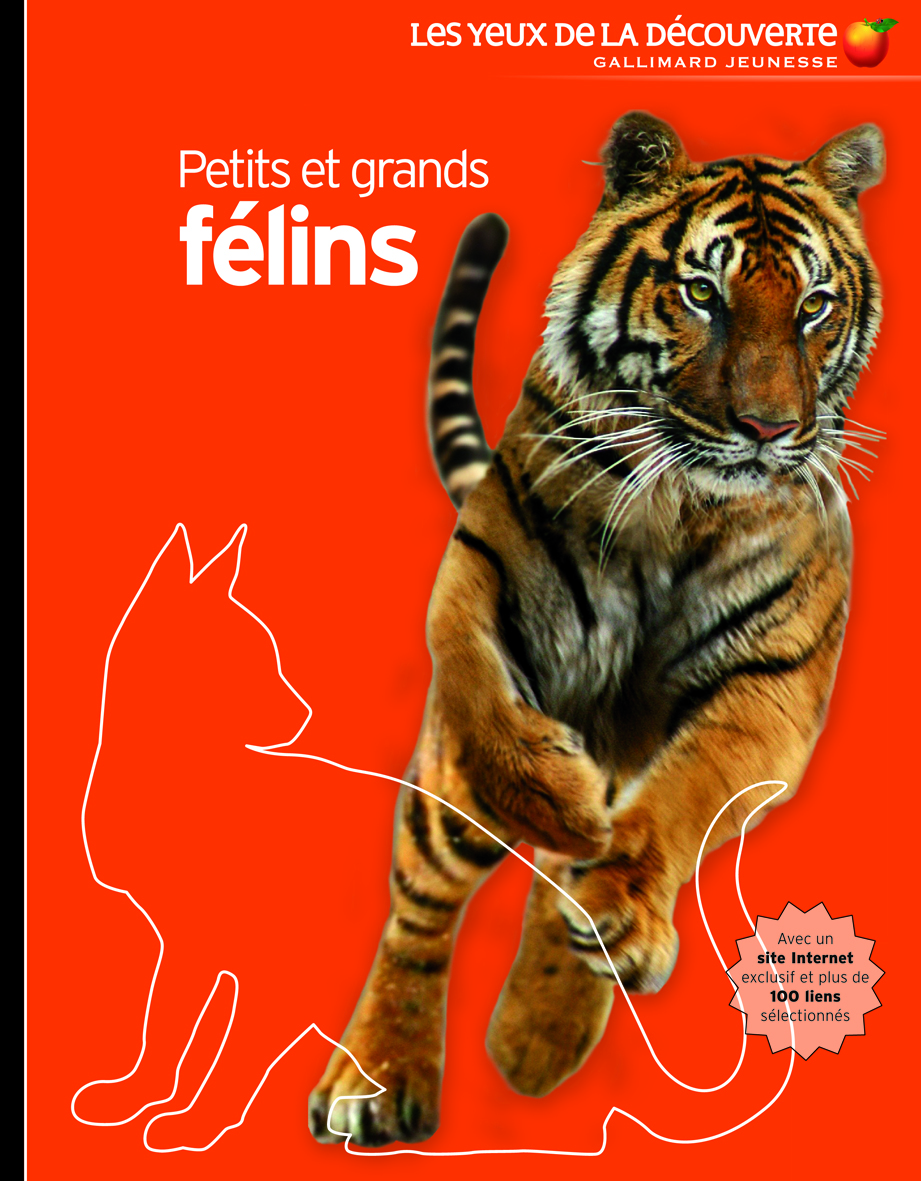 Petits et grands félins