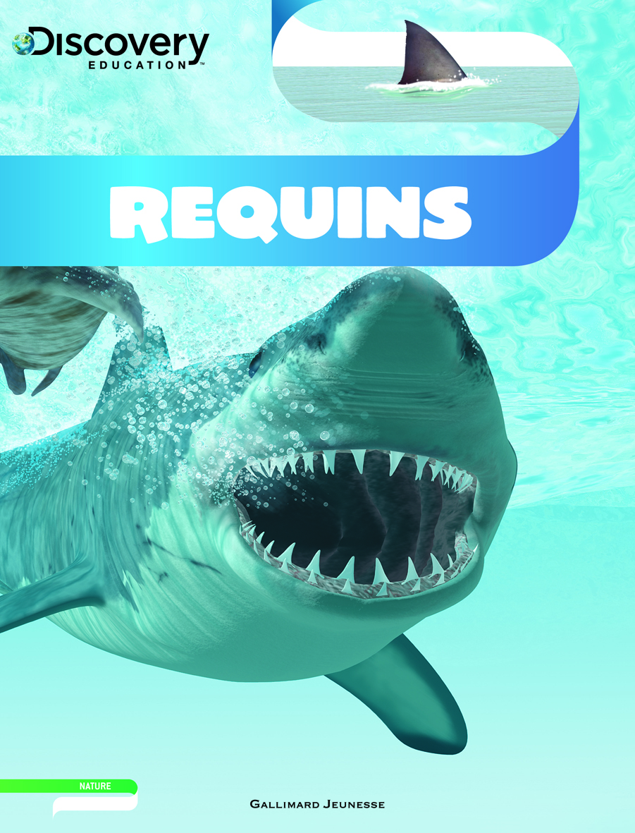 Requins