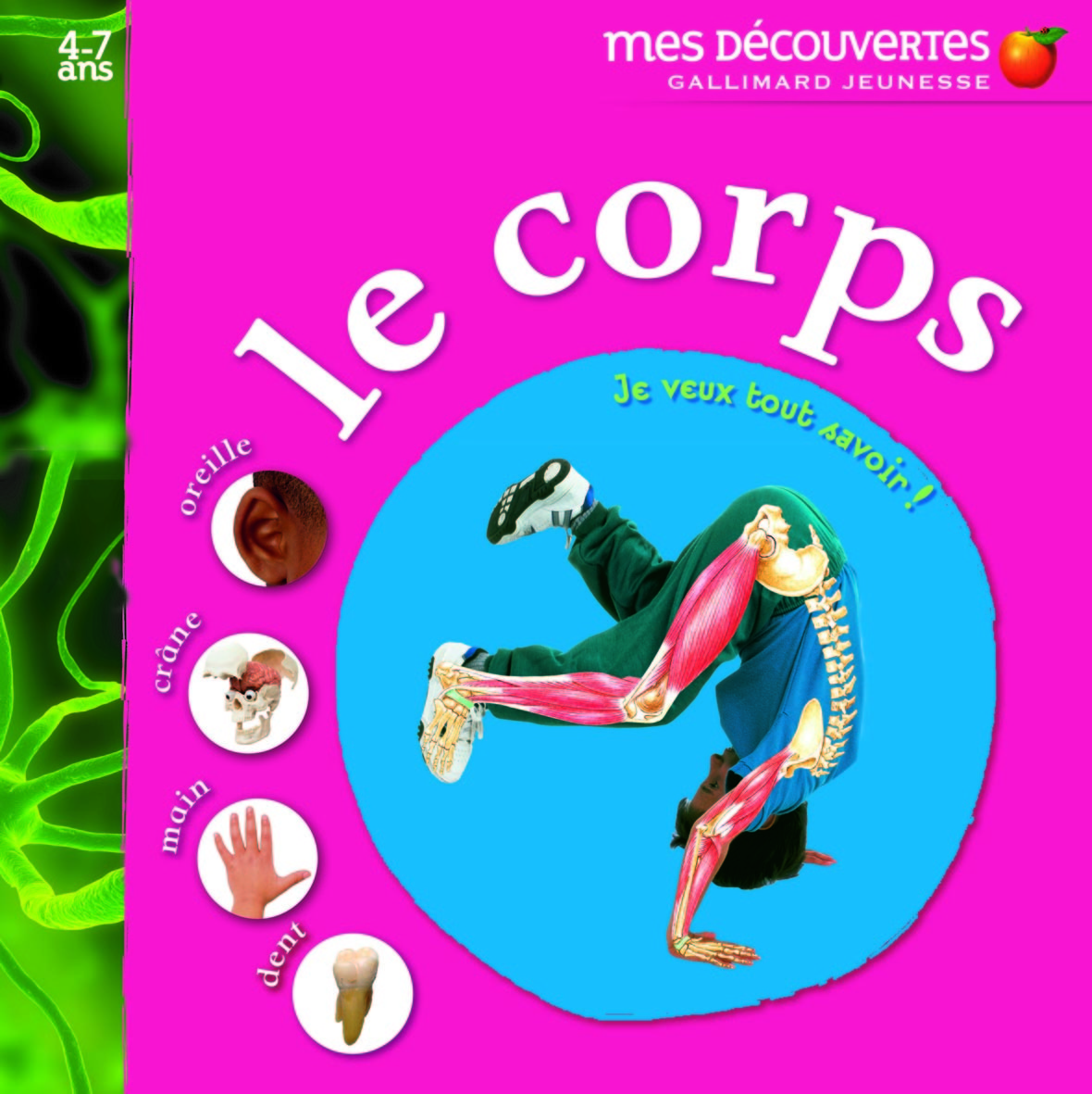 Le corps