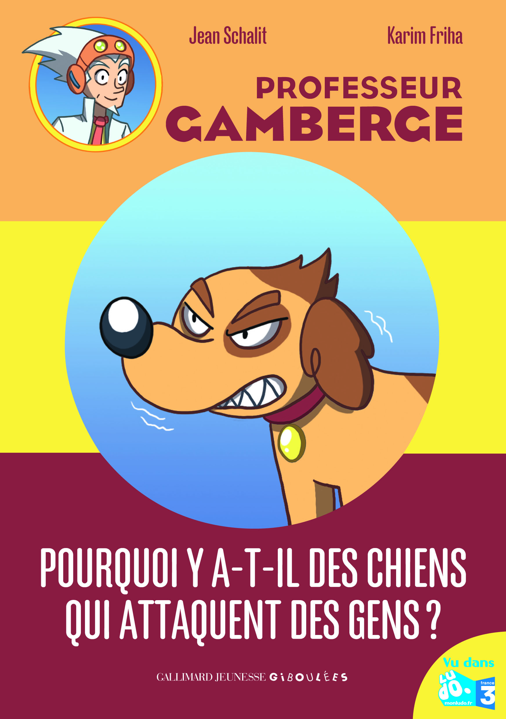 POURQUOI Y A-T-IL DES CHIENS QUI ATTAQUENT LES GENS ?