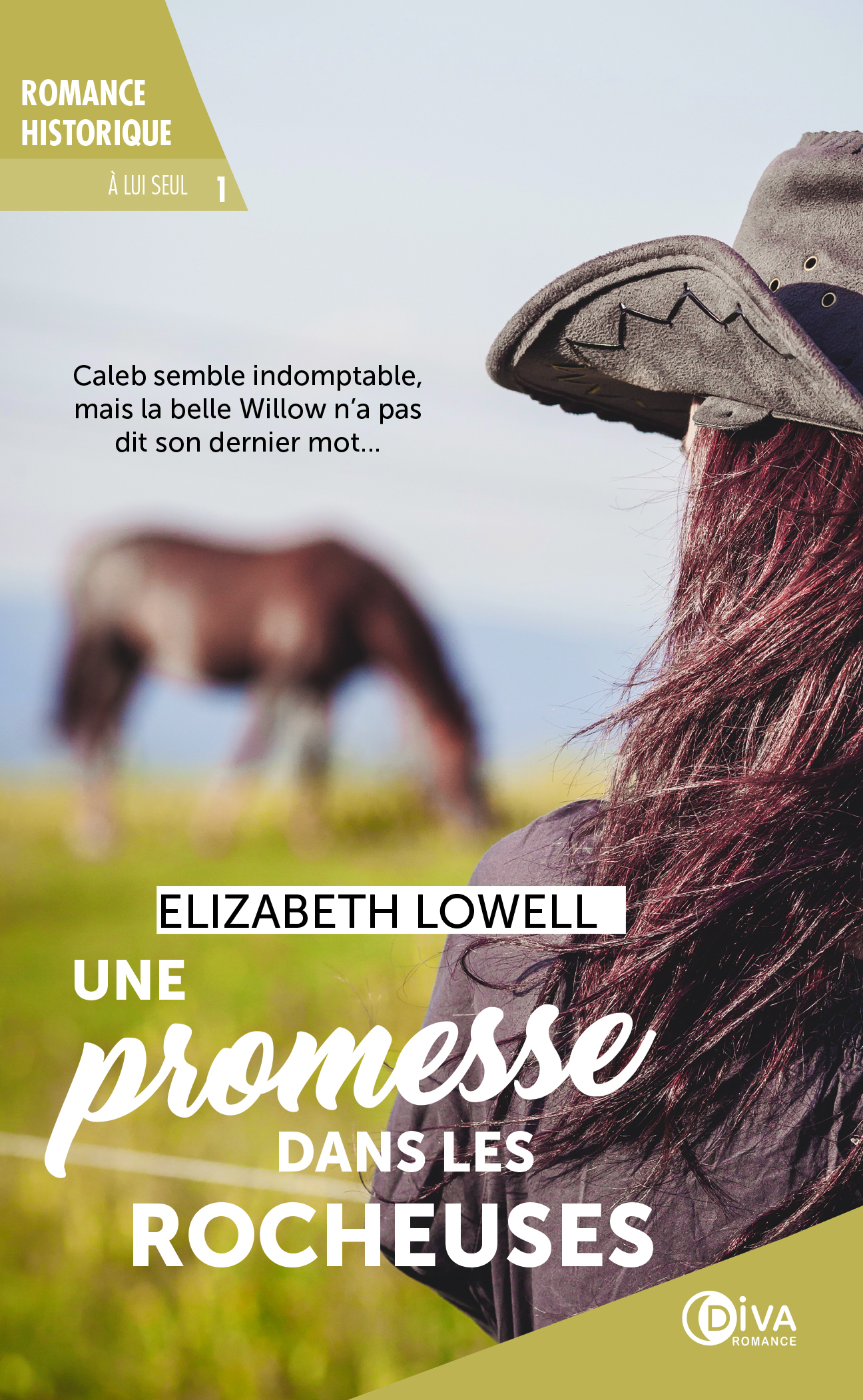 Une promesse dans les rocheuses (tome 1)