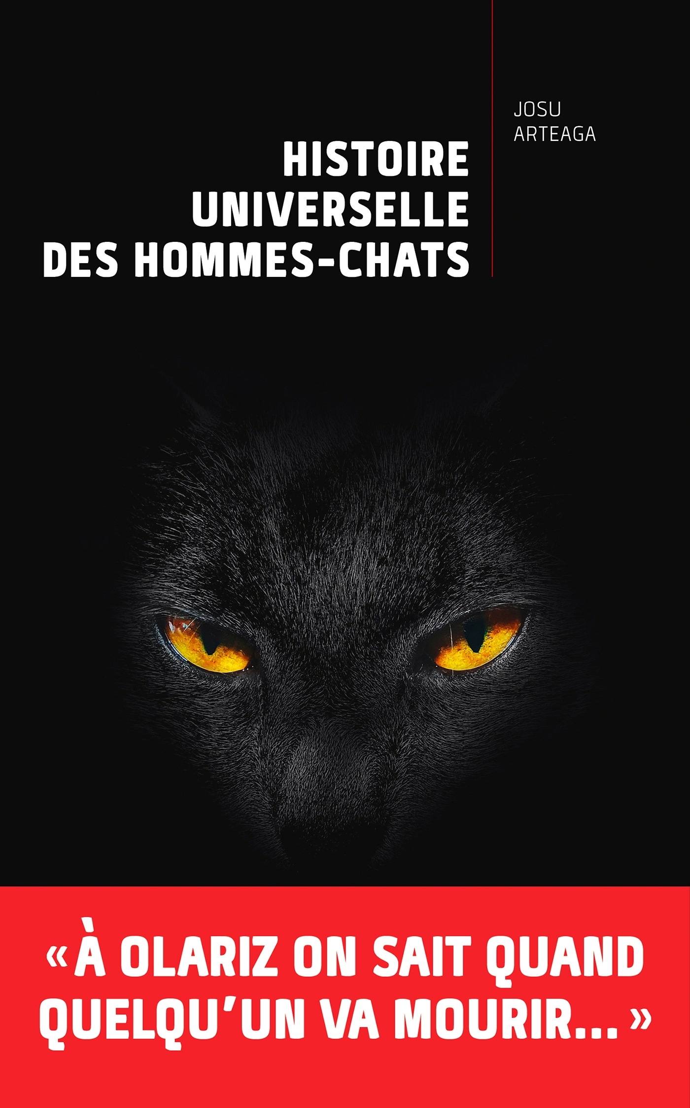 Histoire universelle des hommes-chats