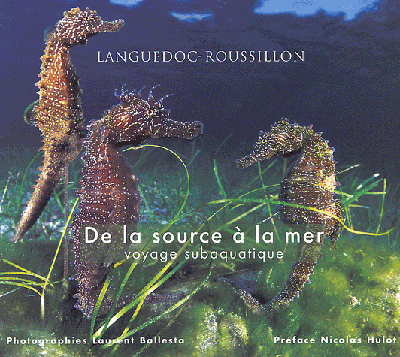 De la source à la mer - voyage subaquatique