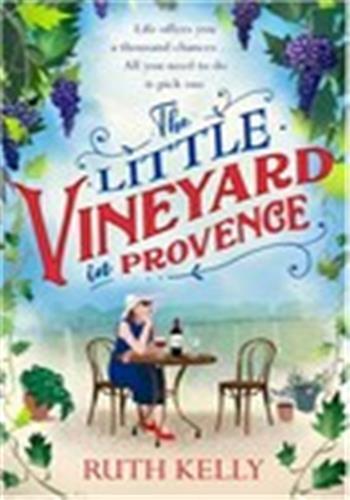 The little vineyard in provence