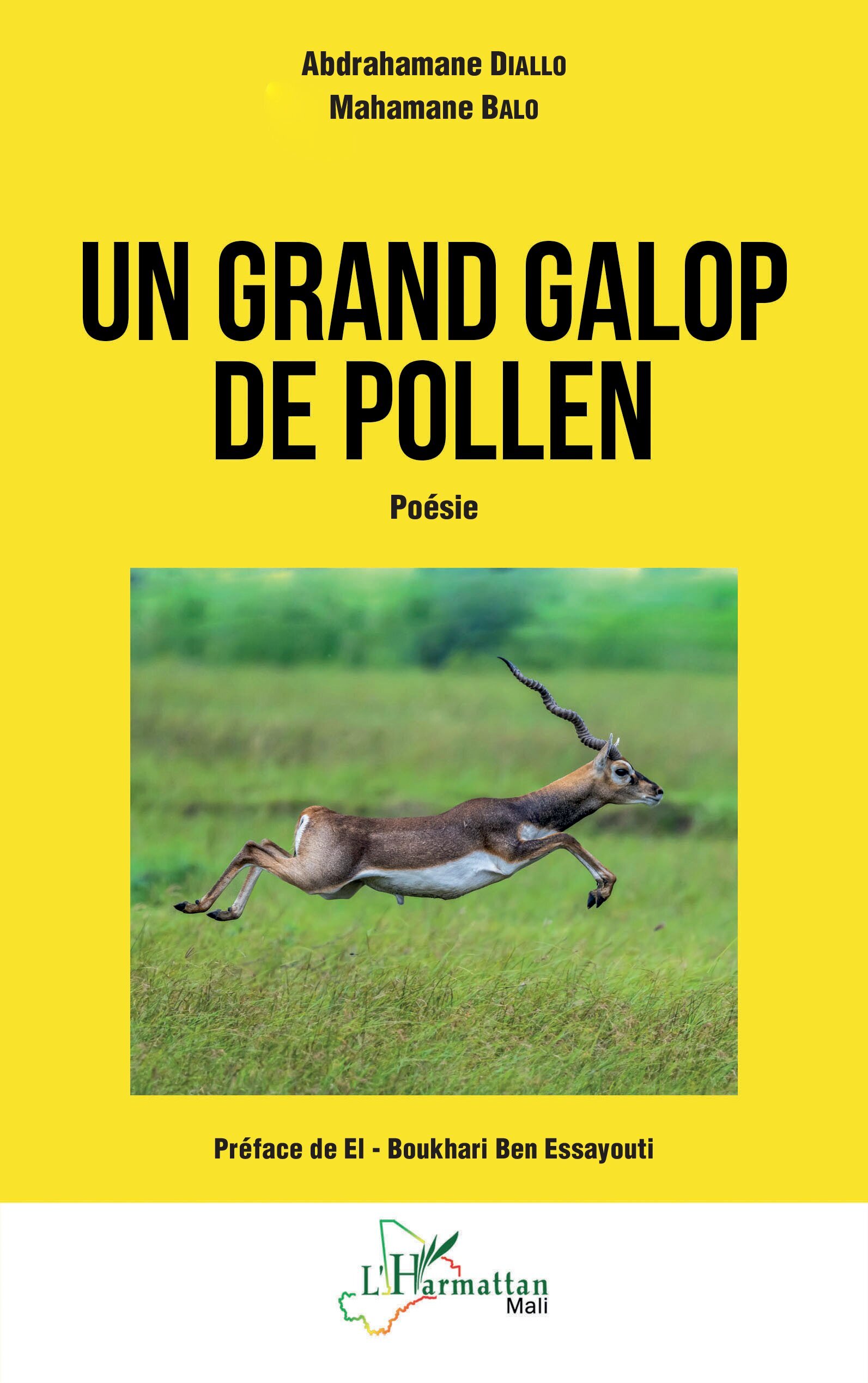 Un grand galop de pollen
