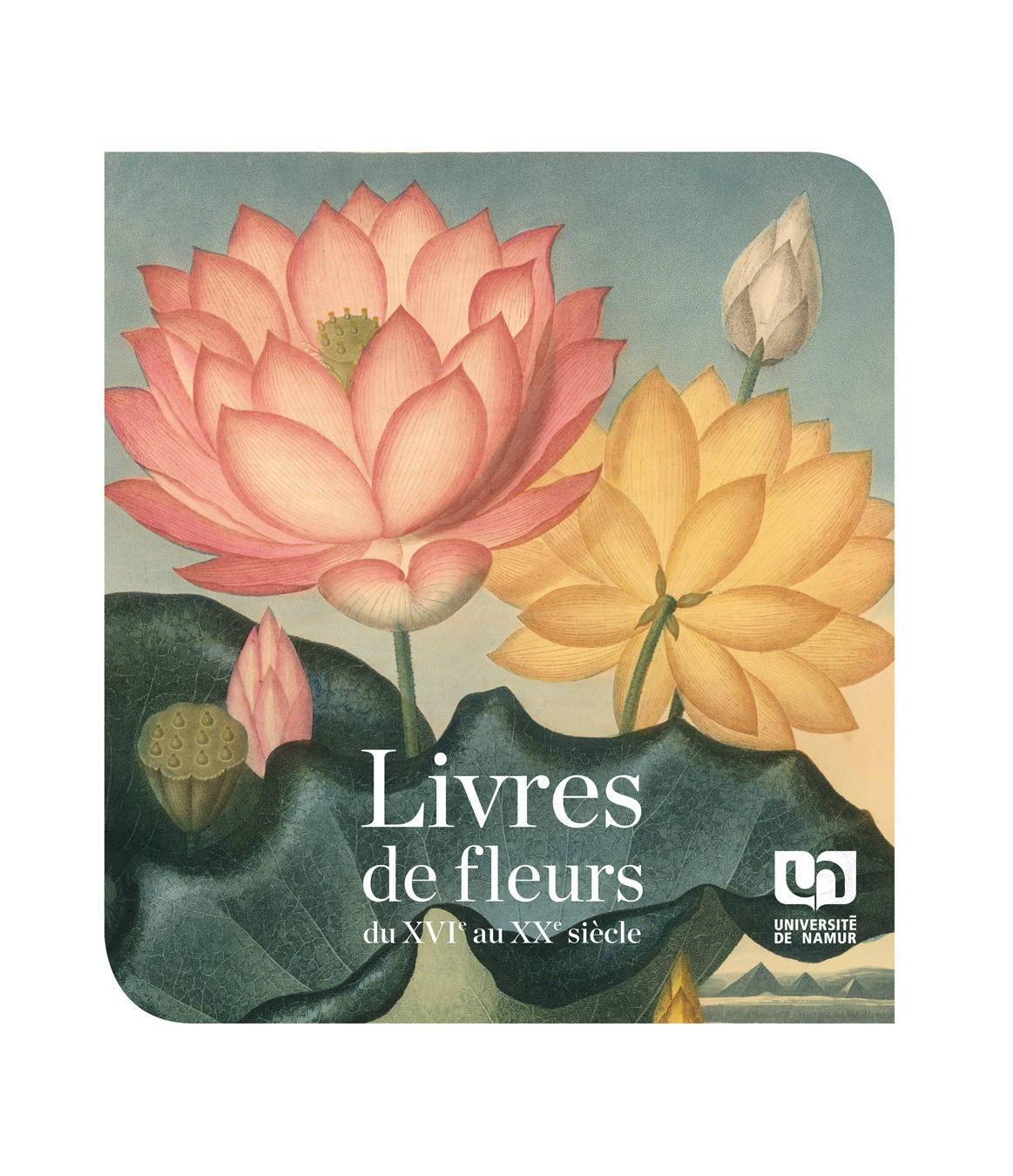 LIVRES DE FLEURS DU XVIE AU XXE SIECLE.