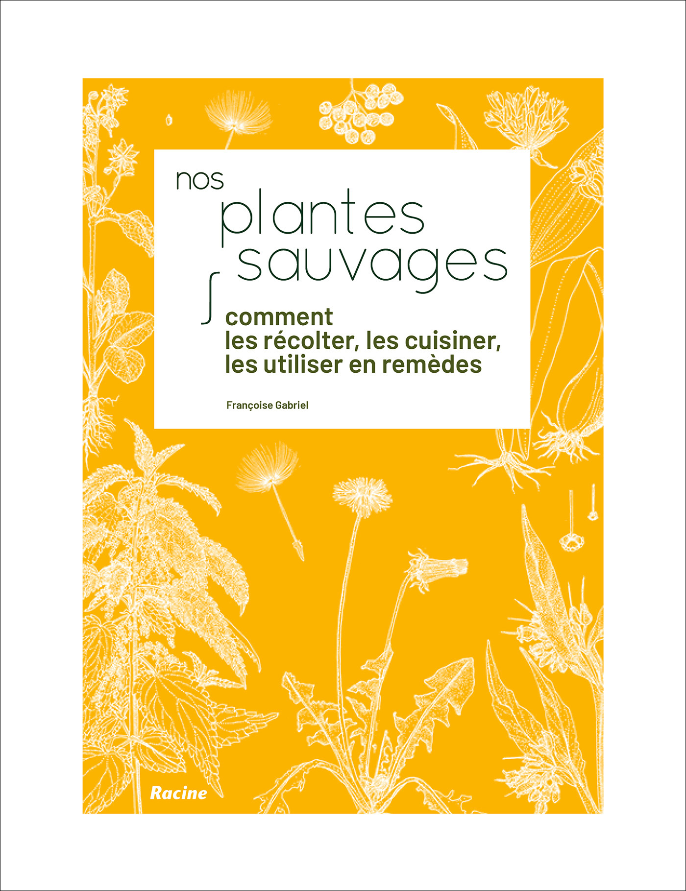 Nos plantes sauvages