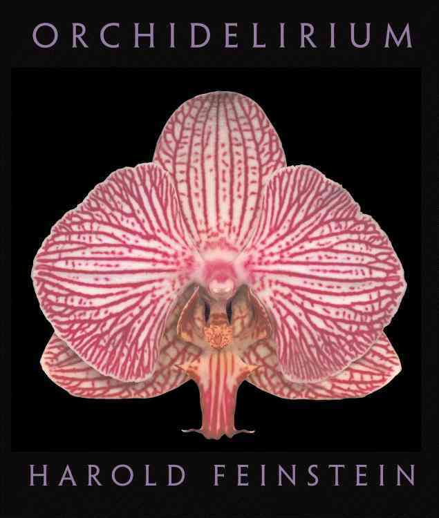 Orchidelirium
