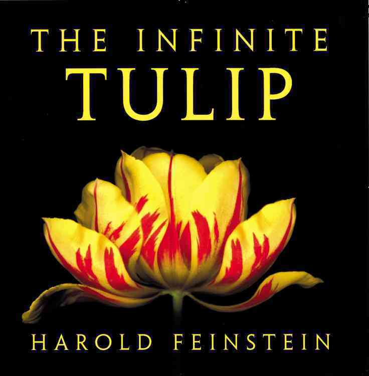 The Infinite Tulip