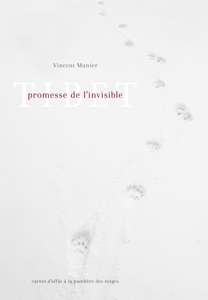 Tibet, promesse de l'invisible