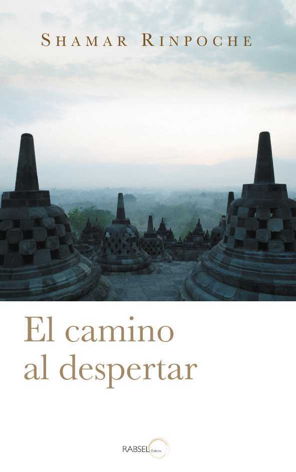 El Camino Al Despertar