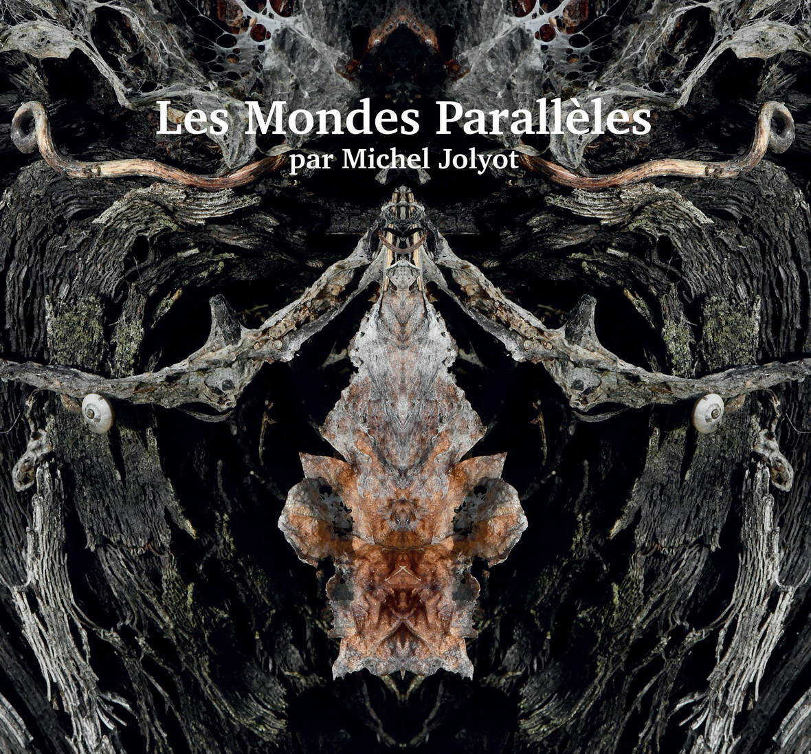 Les Mondes Parallèles par Michel Jolyot