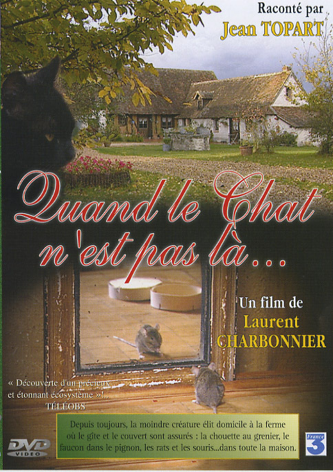 QD LE CHAT N'EST PAS LA - DVD
