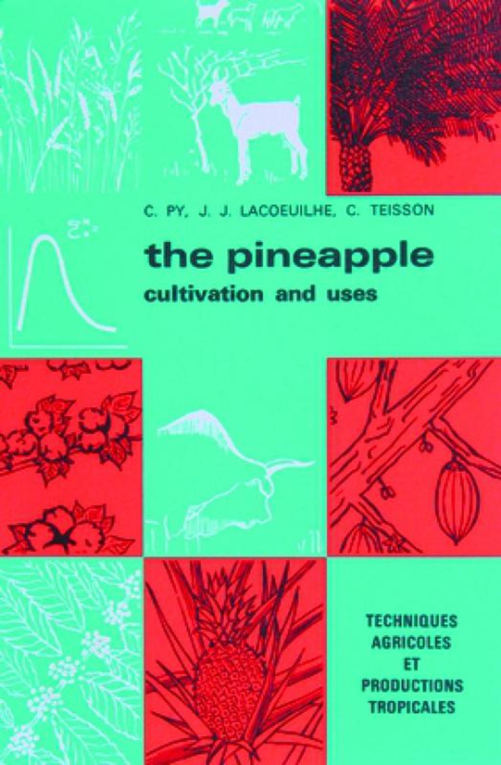 The pineapple
