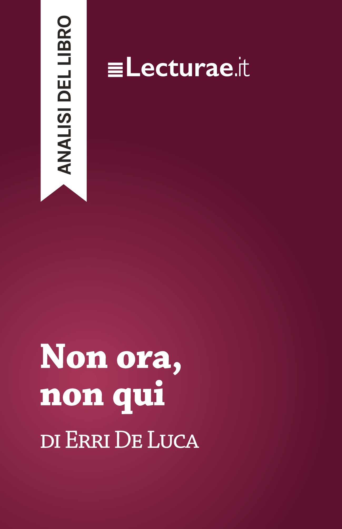 Non ora, non qui - Erri De Luca (analisi del libro)