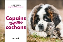 Calendrier 52 semaines Copains Comme Cochons