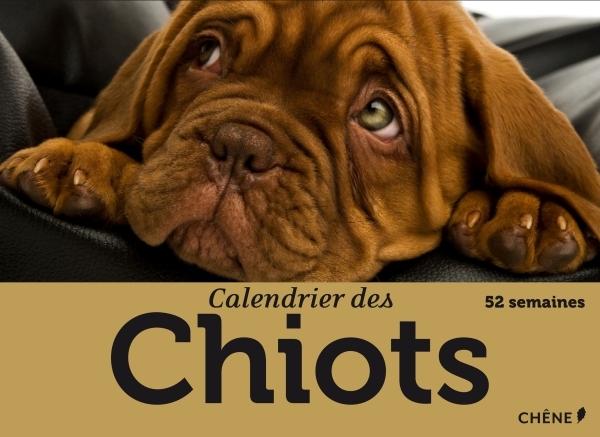 Calendrier des chiots