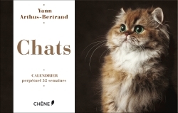 Calendrier 52 semaines Chats