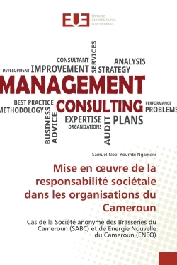 Mise en oeuvre de la responsabilité sociétale dans les organisations du Cameroun