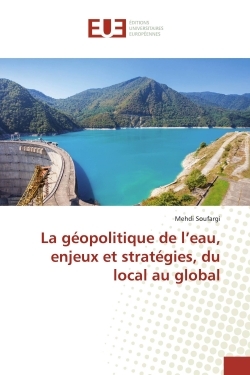 La géopolitique de l'eau, enjeux et stratégies, du local au global