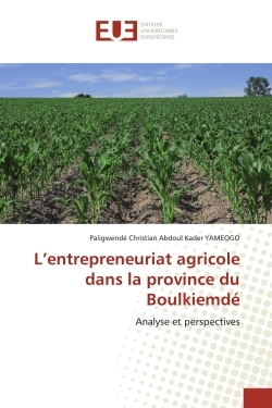 L'entrepreneuriat agricole dans la province du Boulkiemdé