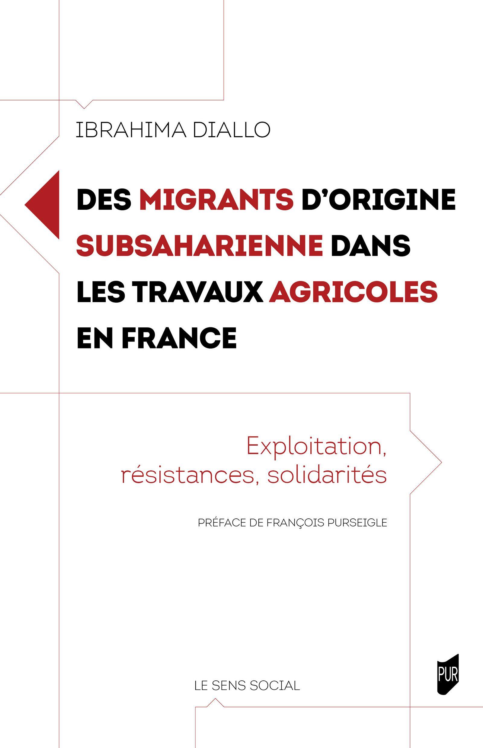 Des migrants d'origine subsaharienne dans les travaux agricoles en France