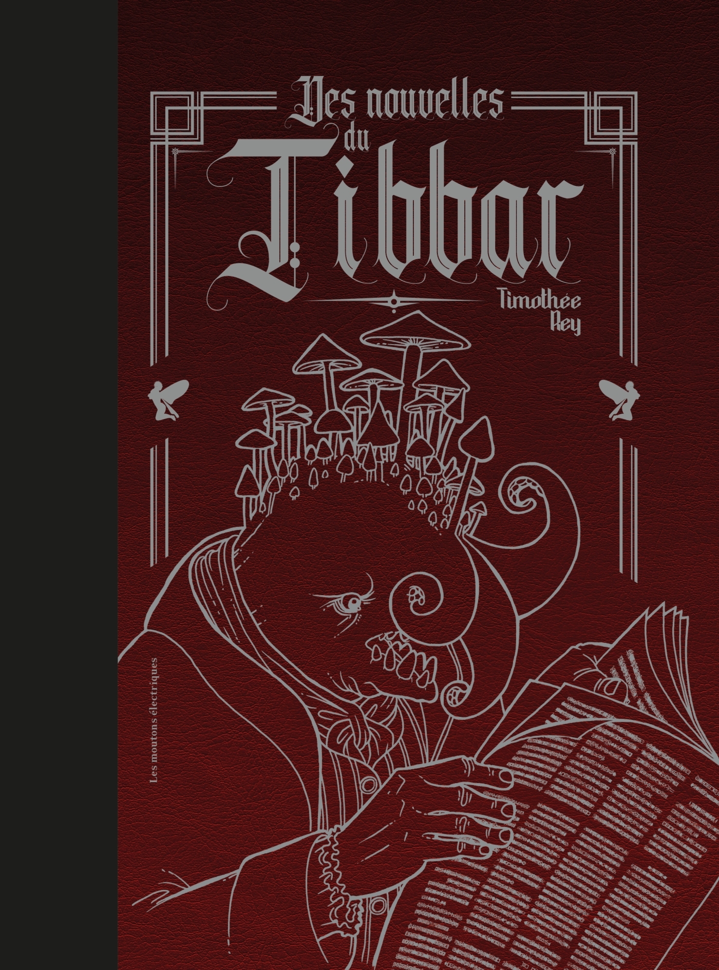 DES NOUVELLES DU TIBBAR
