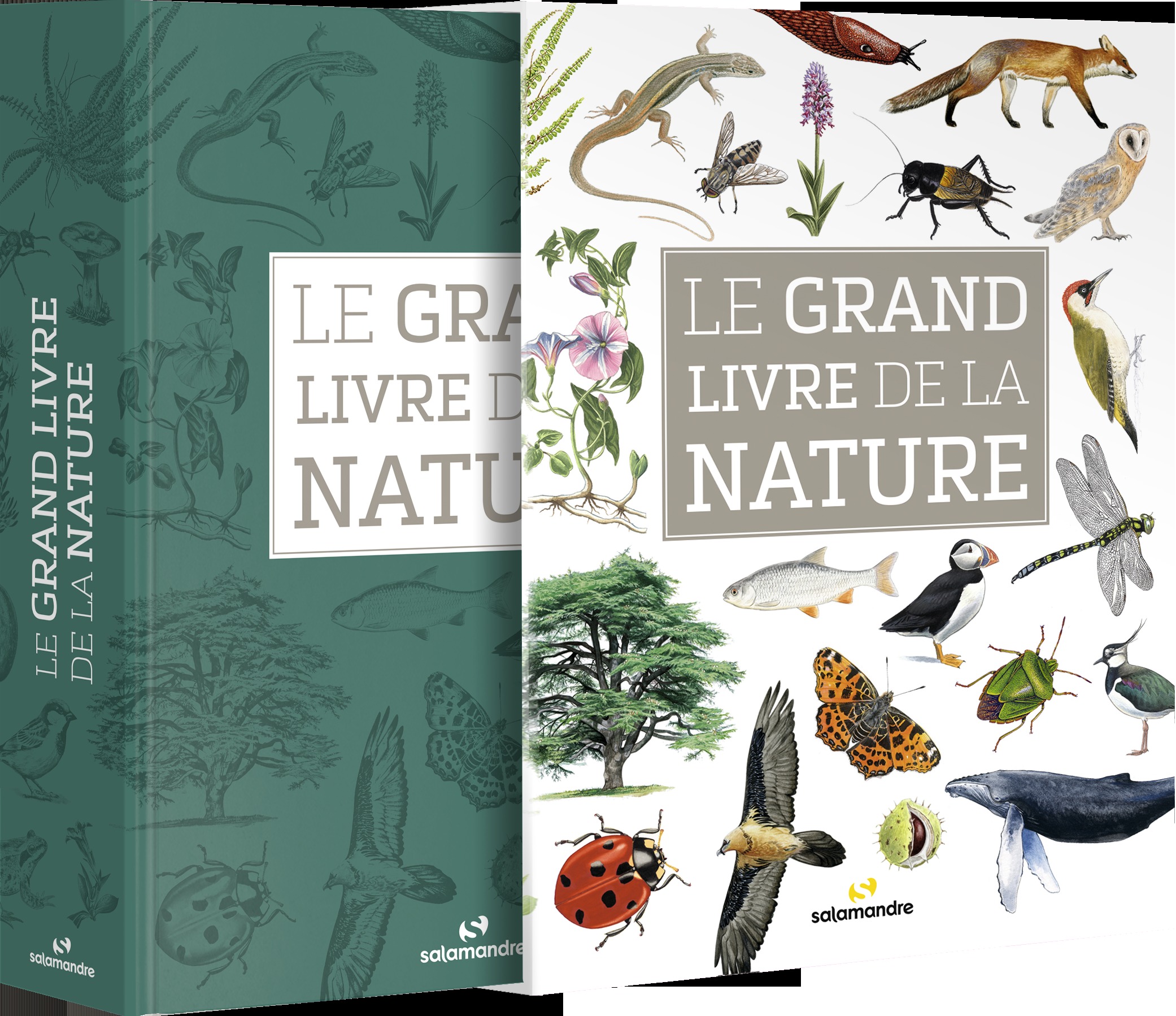 Le grand livre de la nature 