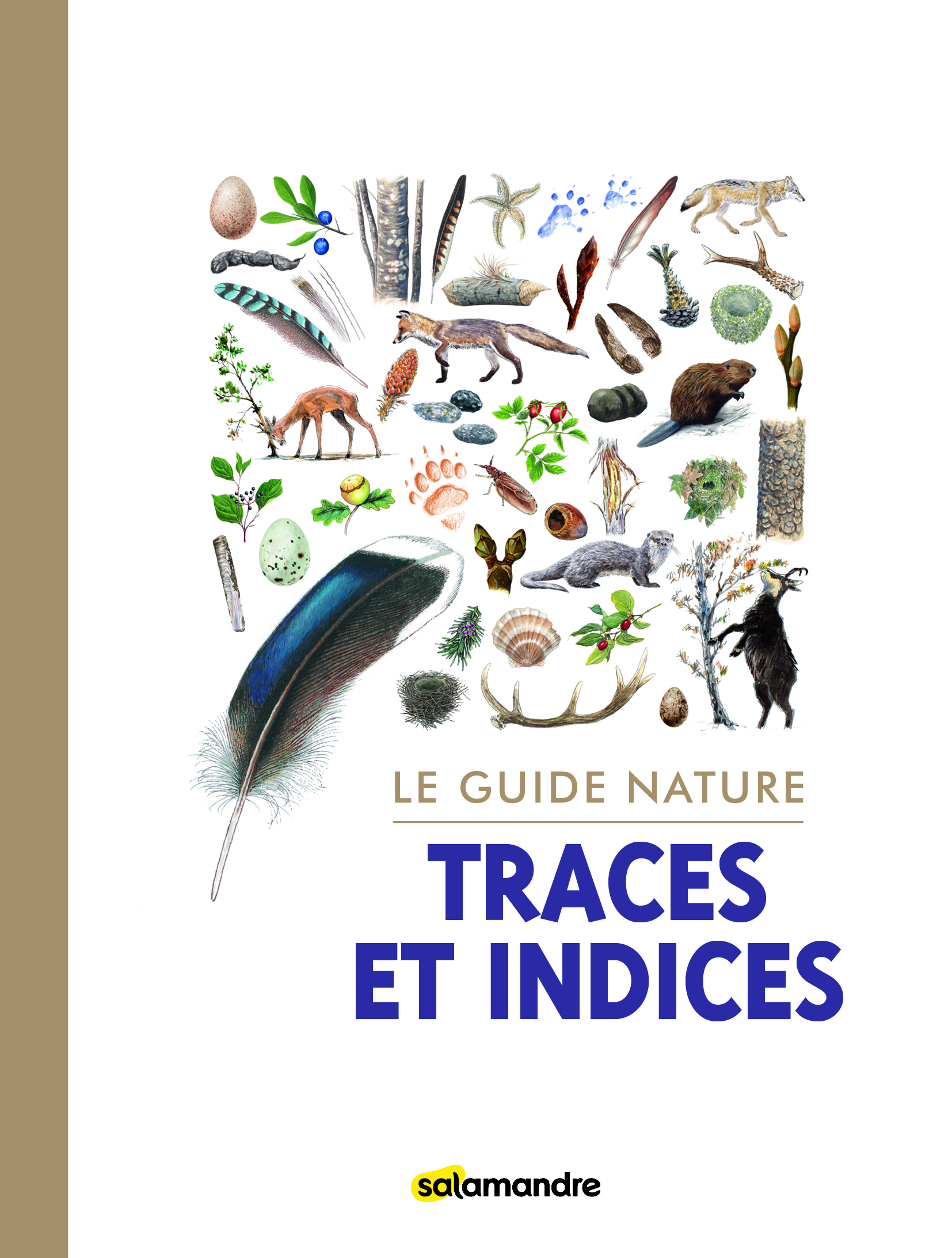 Le guide nature Traces et indices