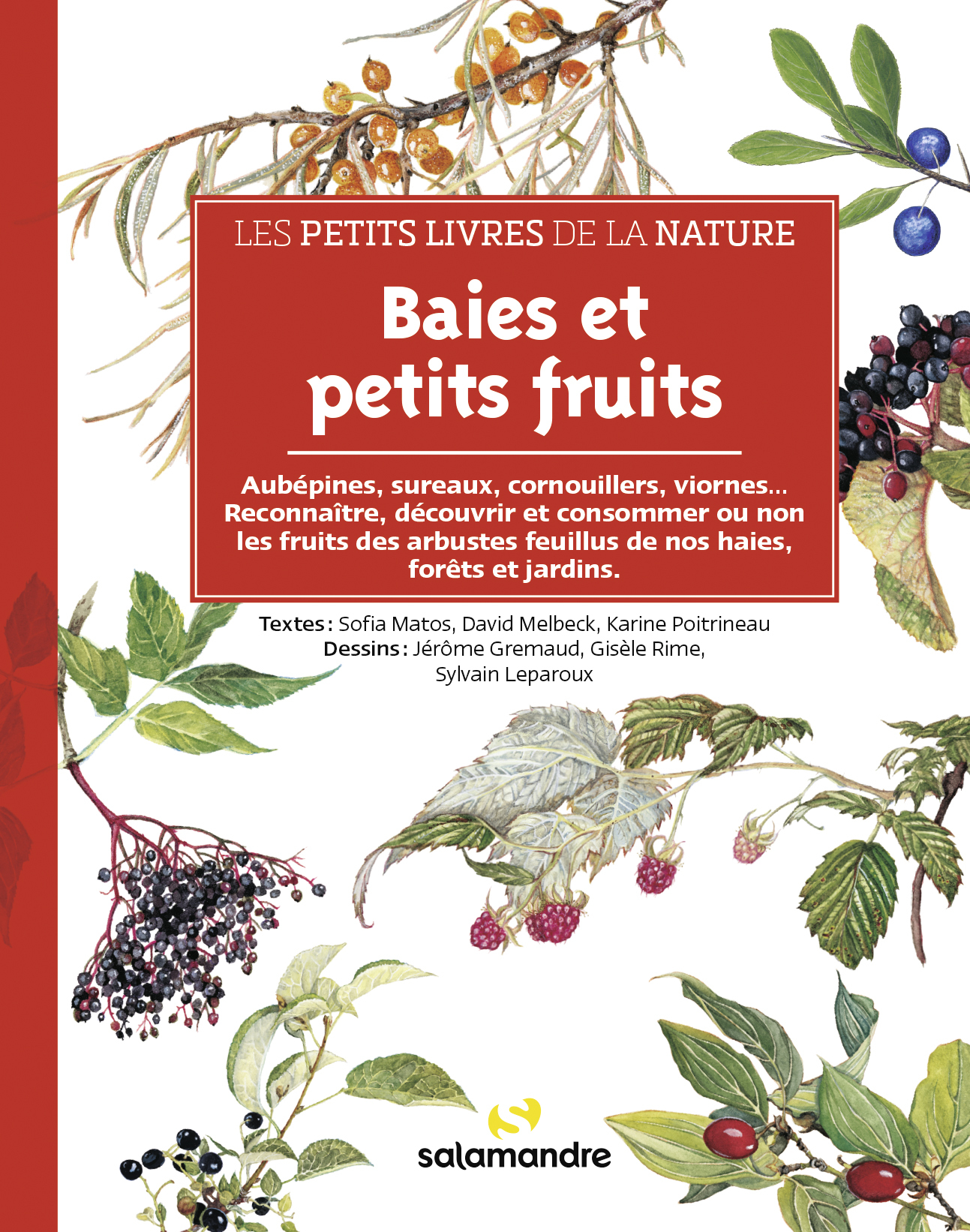 Les petits livres de la nature - Baies et petits fruits