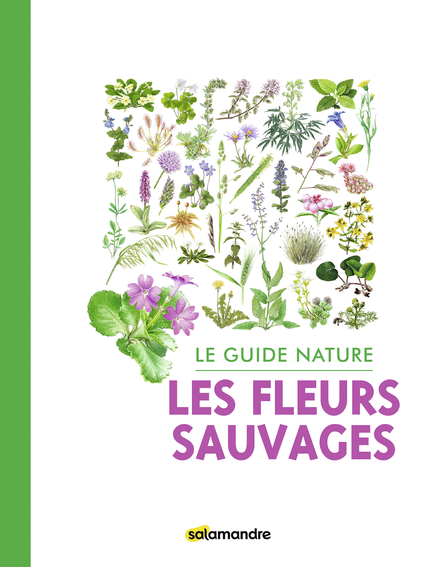 Guide nature - Les fleurs sauvages