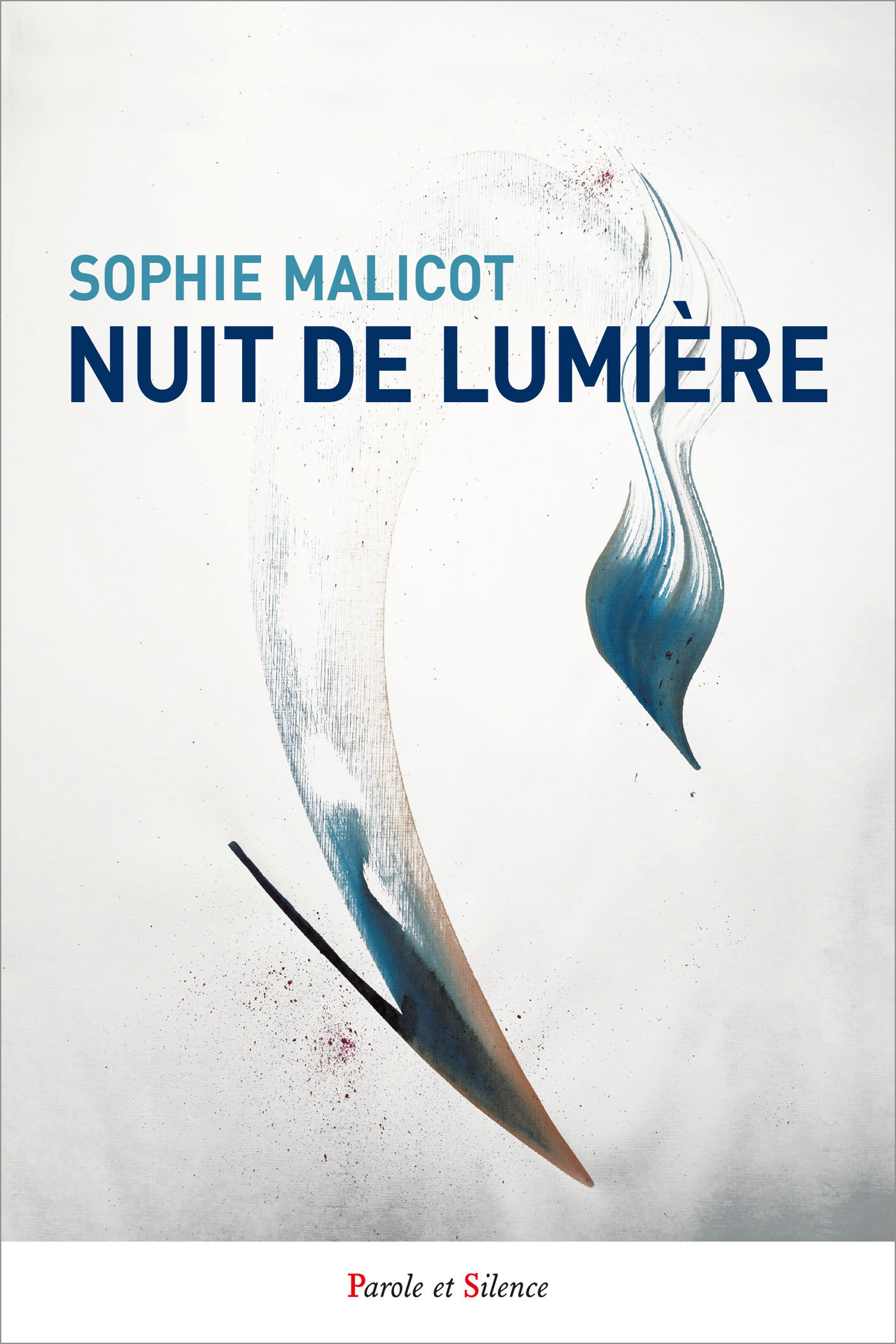 Nuit de lumière