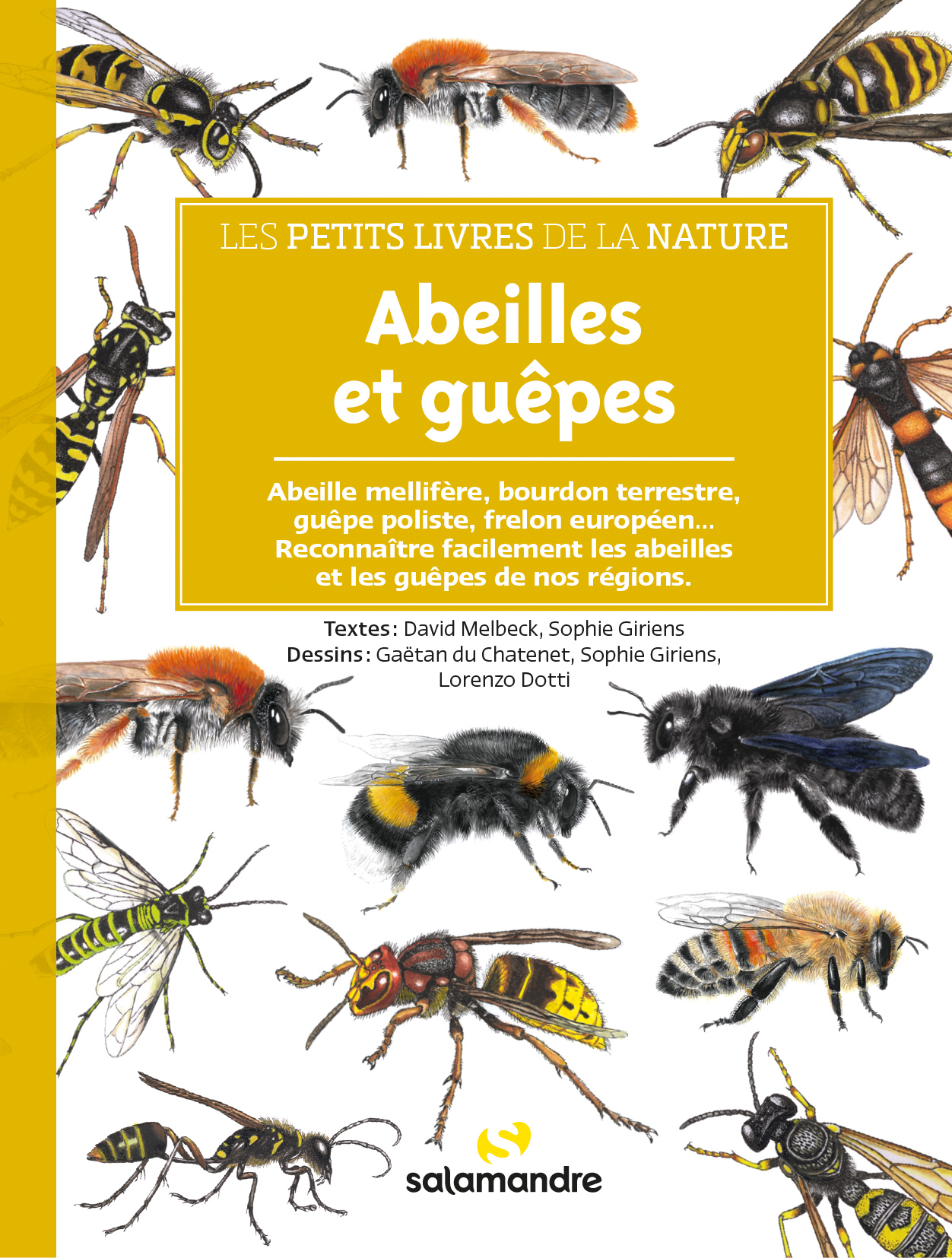 Abeilles et guêpes