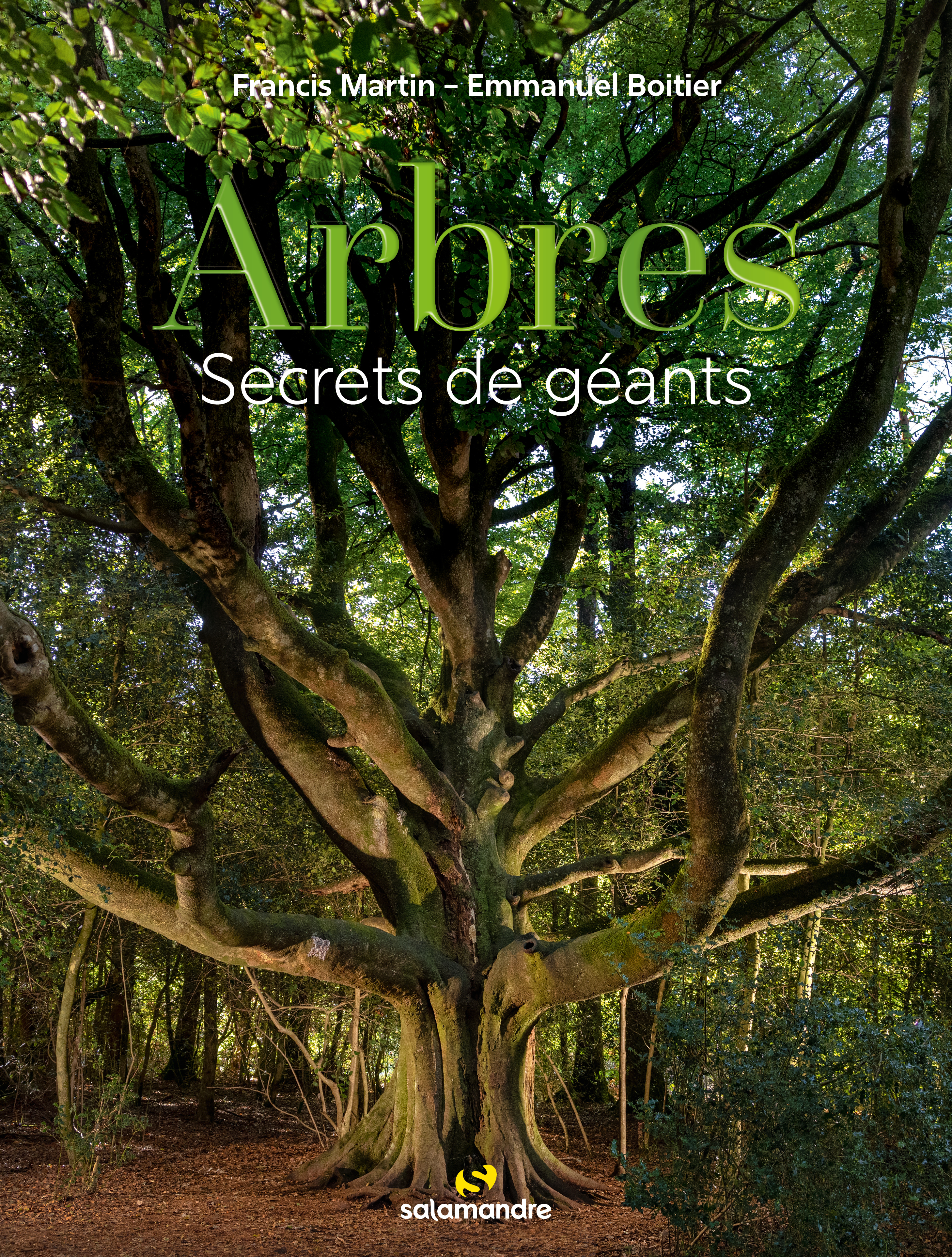 Arbres, secrets de géants