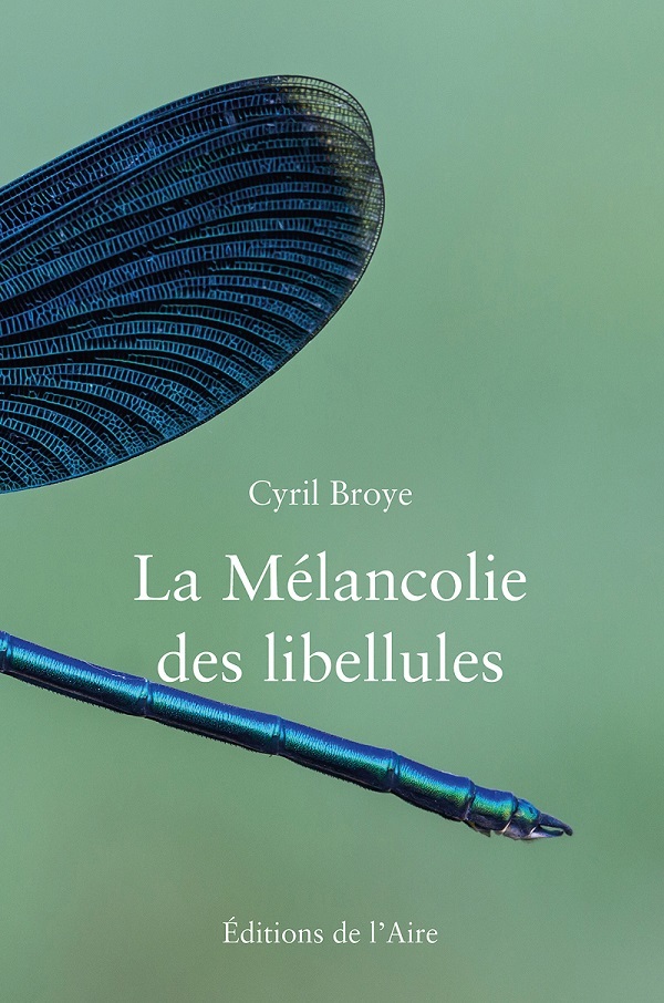 LA MÉLANCOLIE DES LIBELLULES
