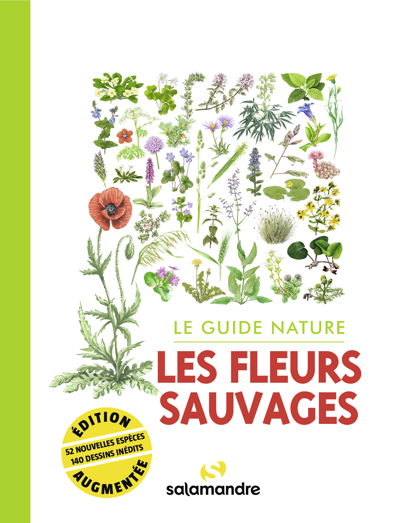 Le guide nature Les fleurs sauvages 