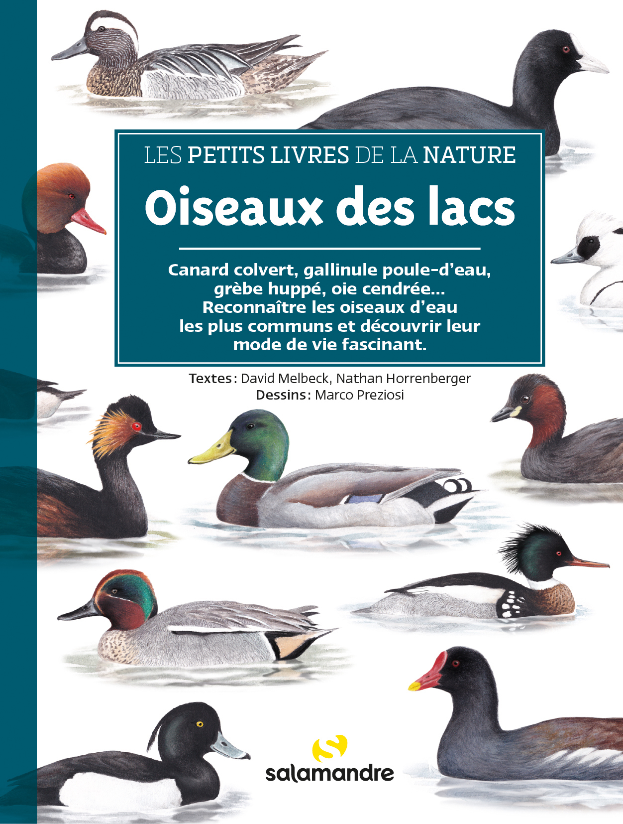 Oiseaux des lacs