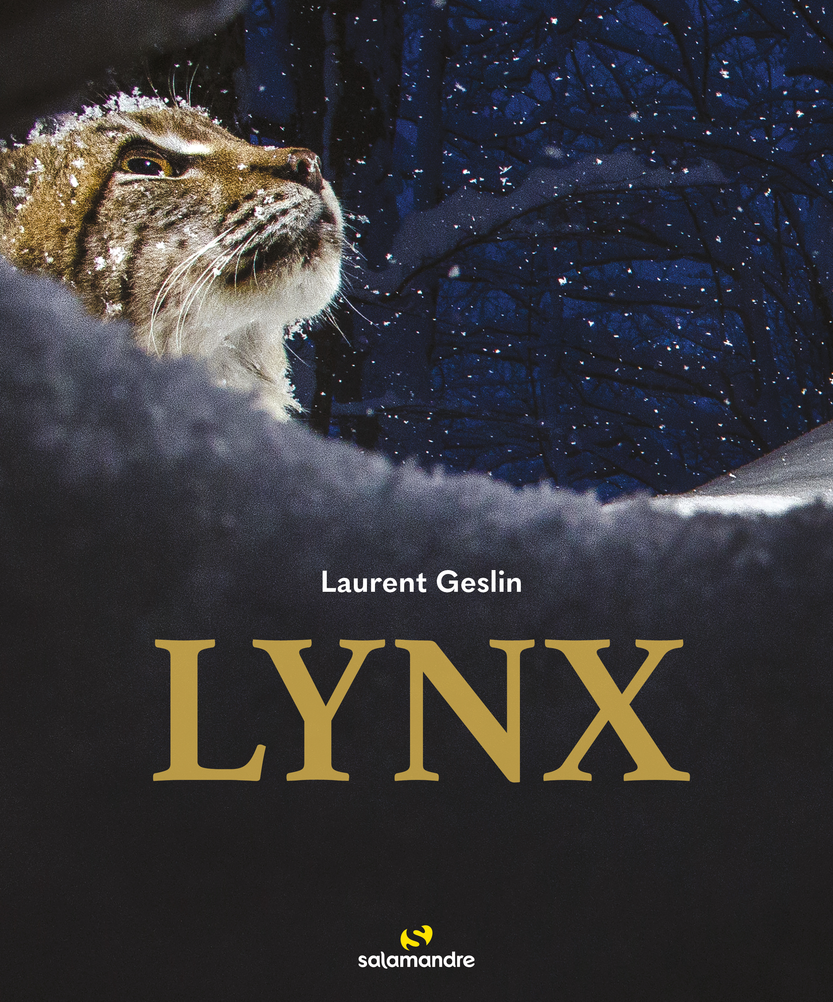 Lynx