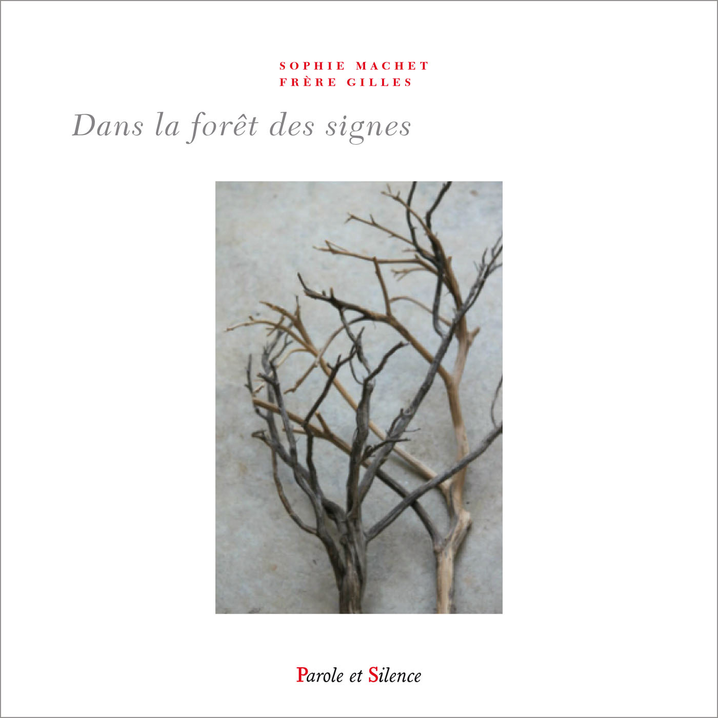 Dans la forêt des signes